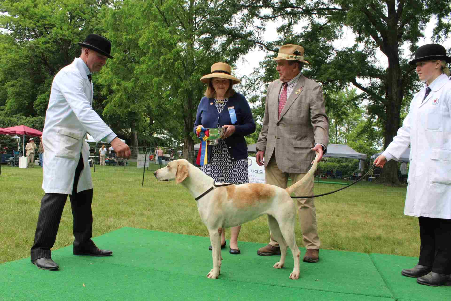 Grand Champion hound with judge, handler, and prizes