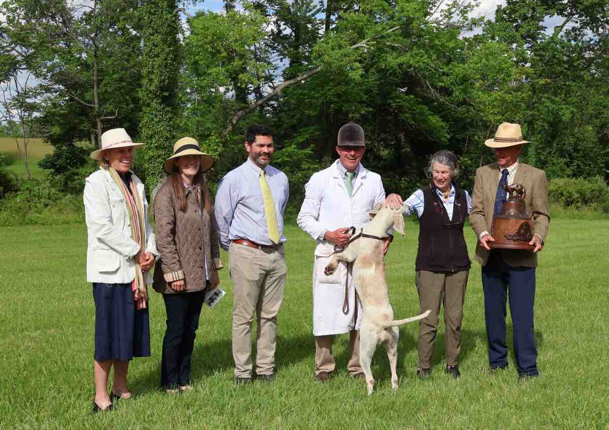 Six people gathered around a hound standing on its hind legs