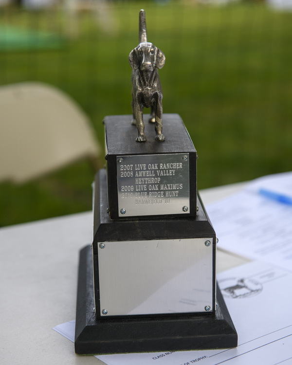 Trophy at Virginia Foxhound Club